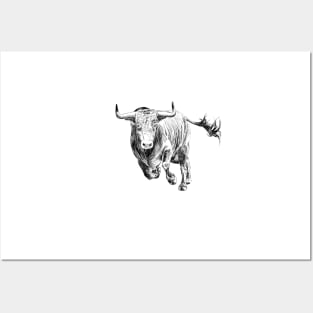 Bull Posters and Art